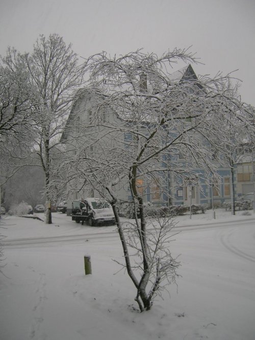 erste schnee in bad meinberg