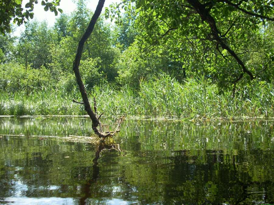 200708071310-K-0271.jpg