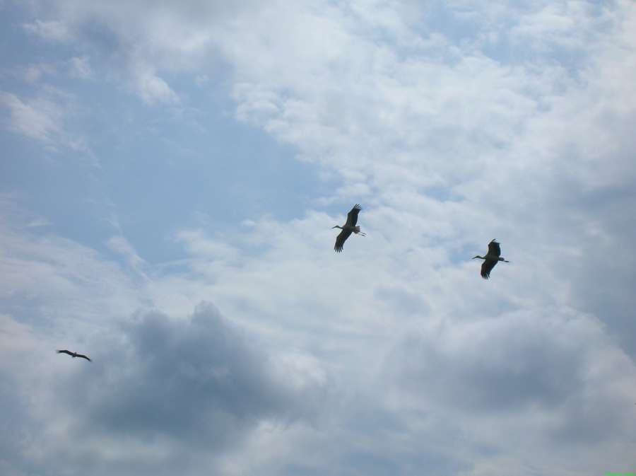 200708081140-S-3103.jpg