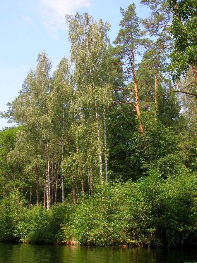 200708111210-S-3191.jpg