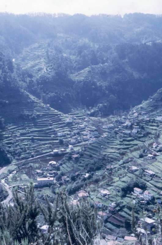 19860307-Madeira.jpg